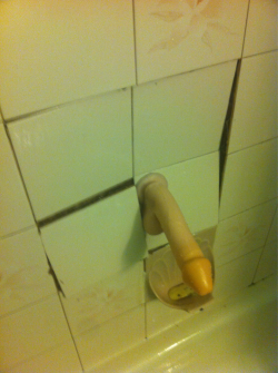 justdontbitethebait:  svgarbabyinthemaking:  loverrtits:  nomorefreerandy:  uhhhhhhhhhhhhh:  That awkward moment when you break the shower wall….    