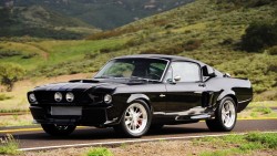 Muscle Car Dreaming