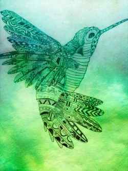   a—z-u-r—e:  My hummingbird drawing