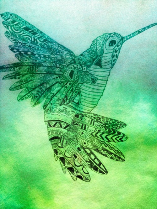   a—z-u-r—e:  My hummingbird drawing I did a while ago   . 