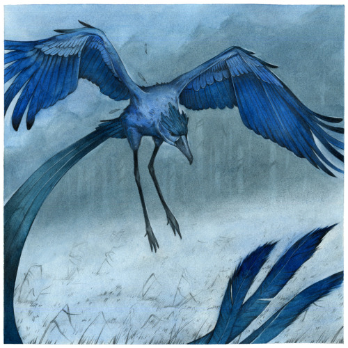 pokemonbattleroyale:  #144 Articuno by Michael Hoeweler  