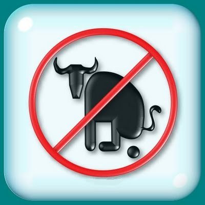 No Bullshit are Allowed on my Tumblr.! &gt;:( LOL