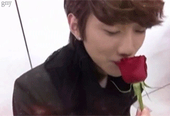  “I give this rose to the BANAs… Why won’t you take it?” © 