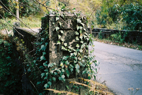 Oid bridge covered with moss&greenery by yazyaz on Flickr.