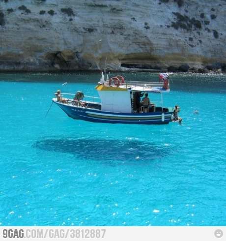 9gag:  The water is so clear 