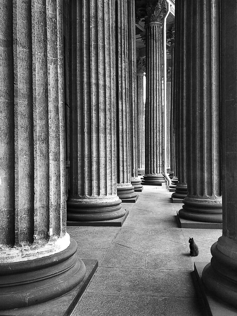 black-and-white:  the cat that walked by herself | by zeevphoto 