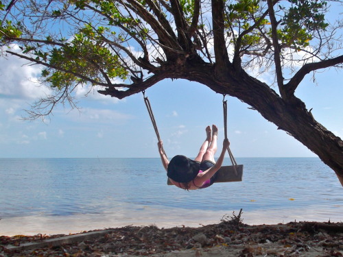 Pretty much how I&rsquo;ve been spending most of my time here on Long Caye, Belize so far&hellip;