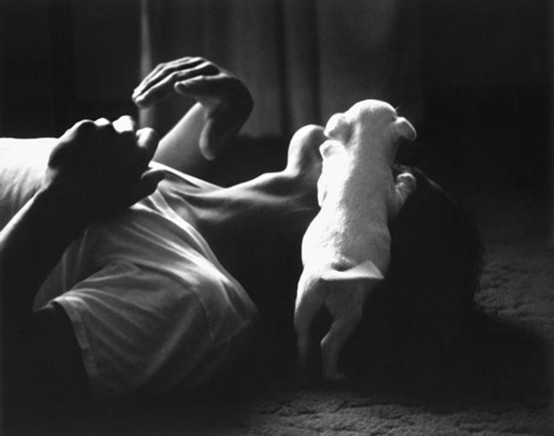 tattoos-switchbladeattitude:  menandtheirdogs:  “  u