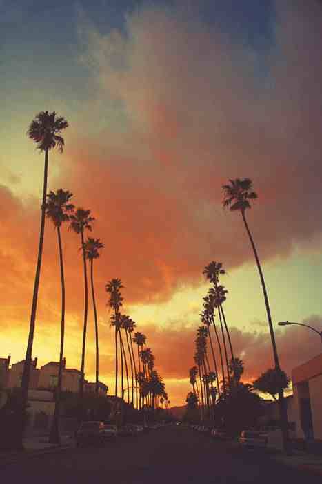 AV_MCMXCII