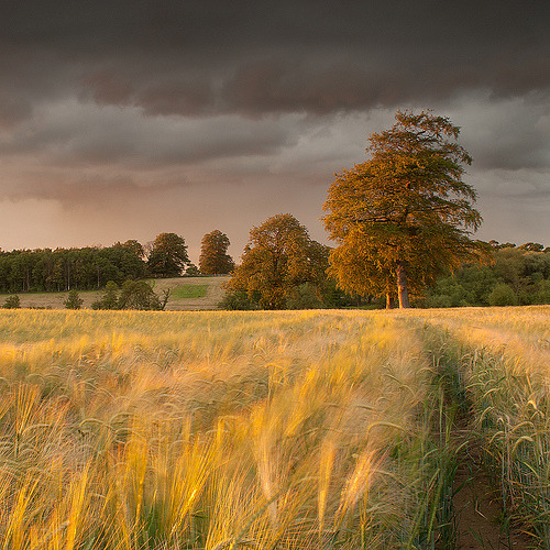 Sex allthingseurope:  North Yorkshire, England pictures