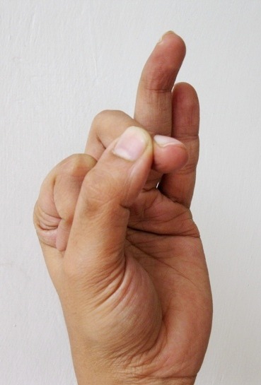 Bhramara Mudra – for preventing and relieving allergies
Bhramara means male bee. Bhramara is a Sanskrit word and Bhramara Mudra has its root in traditional Indian dance form. Place your index finger at the root of the thumb, and the tip of your thumb...