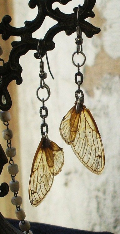 earrings for Eskeilay - Choctaw grasshopper goddess freshgypsy: (via Treasure)