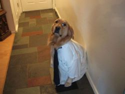 thatfunnyblog:   no pam i dont want a bagel im already going to be late have you seen my keys  
