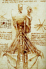  Leonardo Da Vinci’s drawings 
