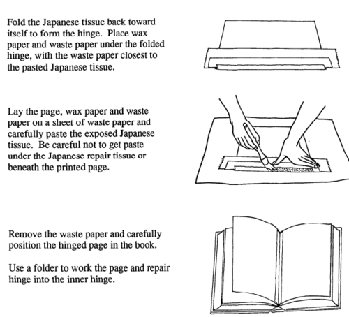 Book Repair Japanese Tissue: Sekishu (White)