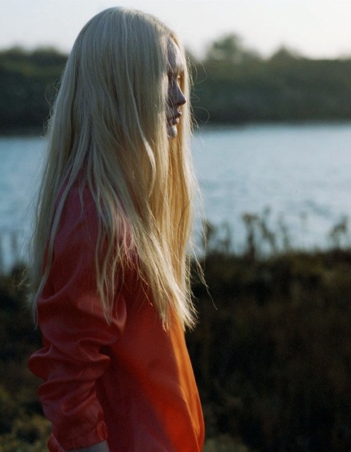suckybl0g:   by Harley Weir 