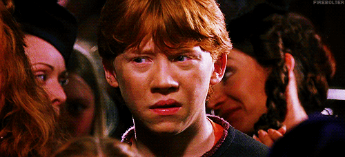 Harry Potter Eterno