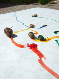 sweet-bitsy:  This lady dipped snails into water and dropped in a bit of food coloring and put the snails on paper and they created ART SNART  Thats really art