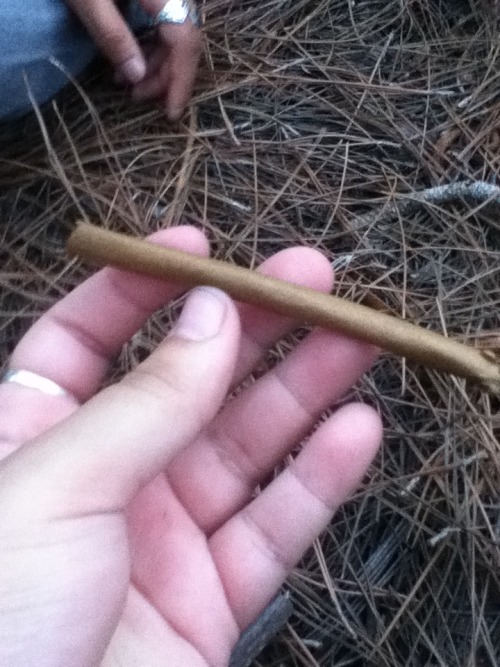 keepcalm-n-smokeweed:  Alittle late, but heres some Spring break pics :D 