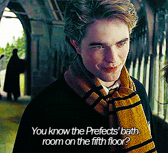 lilyfanciesprongs:  starsshiningbrightaboveyou:  thundergodnamedthor:   #Can you just imagine if there were people passing by #and they heard Cedric saying that to Harry? #they’d probably be thinking that they would go to that restroom #and make