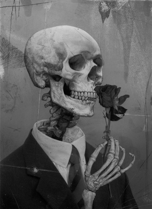 anthropologyyy:  v 