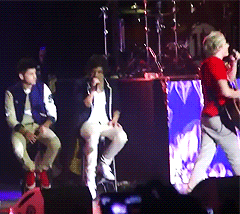 1derfulness:   harry getting hit in the balls by a koala plushie x  SHE SHOOTS SHE SCORES 