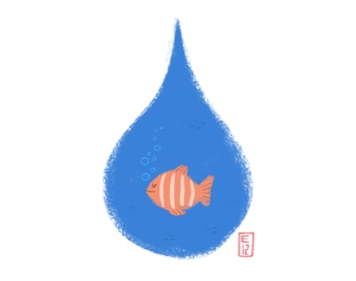 4-13-12: Day 111rain fish