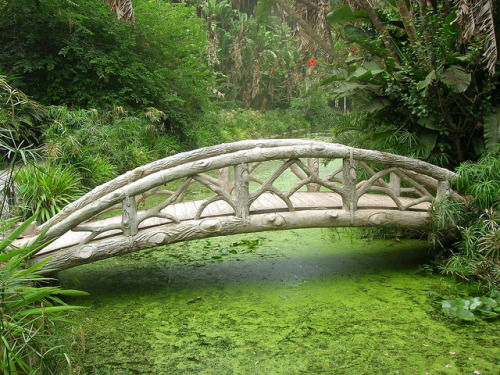 pixiewinksfairywhispers:visitheworld:Bridge in the midlle of Jardin d’Essai in Algiers, Algeria (by 