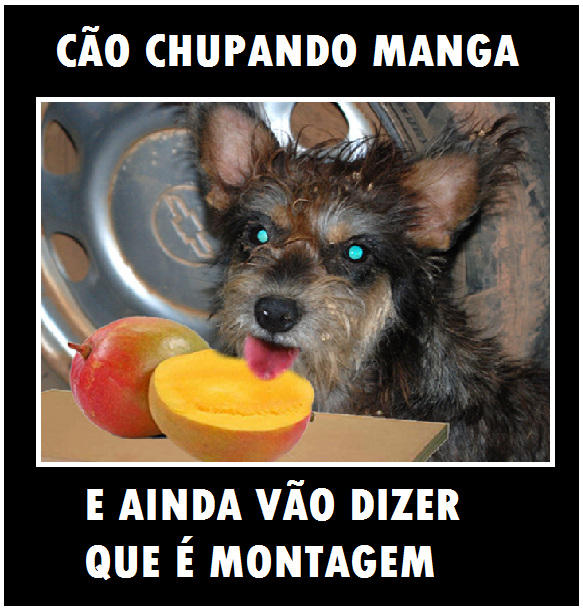Não parece, mas sou legal e bonzinho u.u