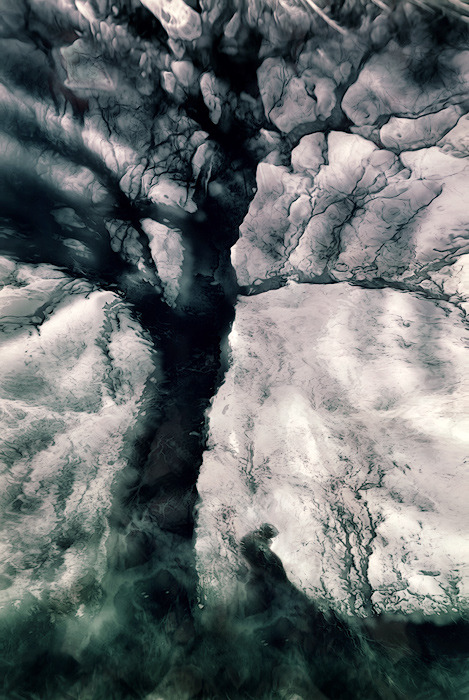 mydarkenedeyes:  Wind Fate by Marketa Hoskova 
