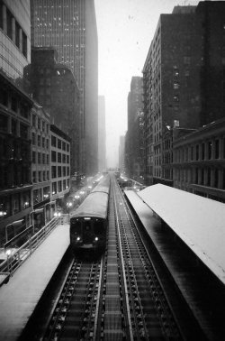 fiore-rosso:  ,chicago cxxxix / daniel j butler. 