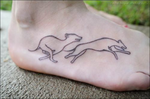 fuckyeahtattoos:
“ My first tattoo! I can’t believe I actually did it. I’ve wanted to do this for years and I finally pulled the trigger yesterday. :D
Ever since I learned about it, I’ve had a mild obsession with the greyhound’s double suspension...