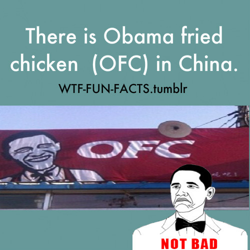 lolzpicx:  Just Funny Pics click here for more 