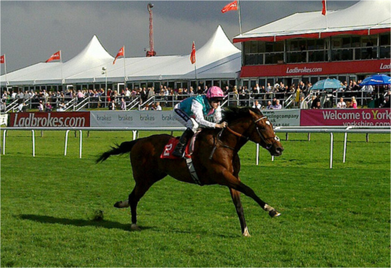 It was announced minutes ago that undefeated super-miler Frankel has been retired after an apparent injury received in a workout was more serious than anticipated. My whole year feels ruined already.
Edit: And now all of a sudden rumors are...