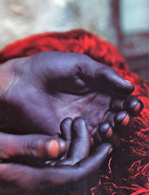 endilletante:  “Maghreb, Artisans de la terre”, texte de Jamal Bellakhdar, photographies de Cécile Tréal et Jean-Michel Ruiz. Hazan, 2002. 