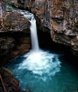 ecocides:  Beauty Creek waterfall, Jasper