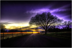 Sweet Escape