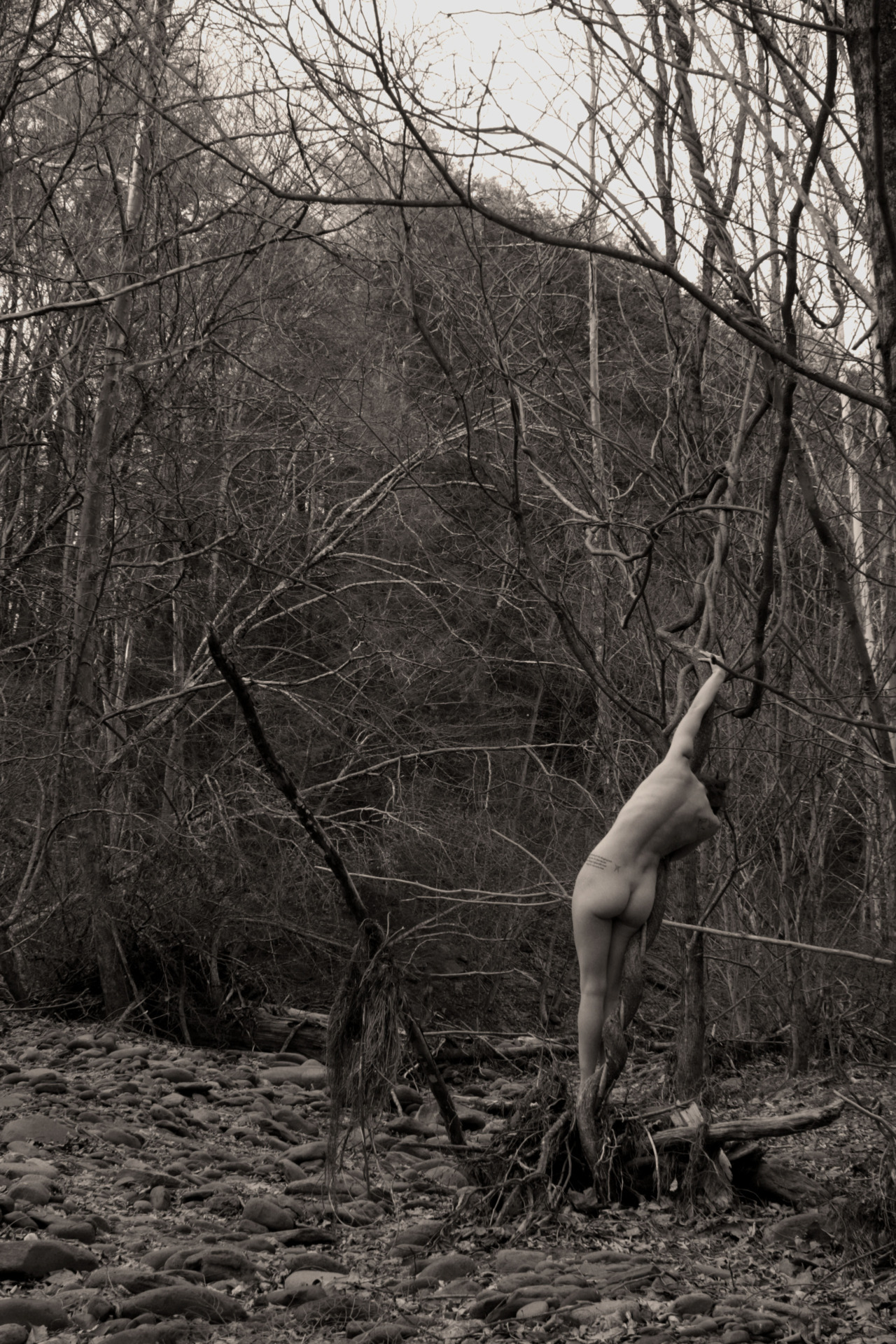 jacsfishburnephotography:  Day 315/365 Slowly, she untangled the pieces of herself…