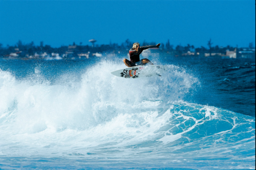 Surfing the waves of a free life.