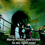 Gotta love Luna.