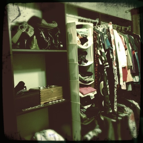 I never thought that an organized closet would make so happy!