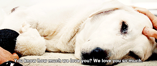 the-ocean-kids:crying