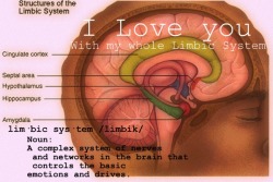 Neurolove.me