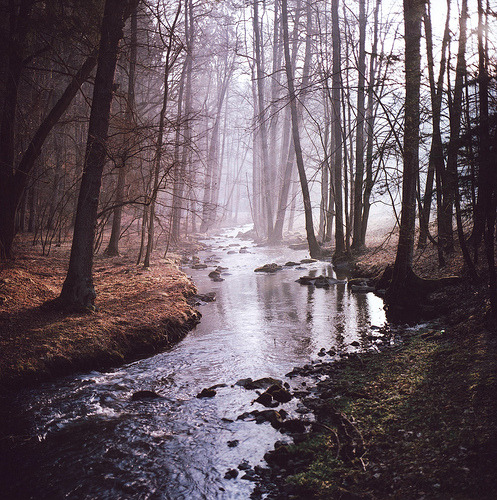Sweet Escape