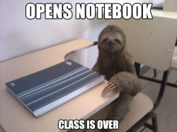 flyingscotsman:  School Sloth (via) 