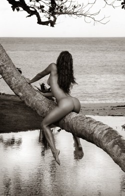 eroticvisualart:  feralsophisticate:  jerzee55:  Riding the palm…  Lucky fucking tree. Sucks to be stuck alone on a deserted island.     Erotic Visual Art - updated every hour!         (via TumbleOn)