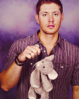cowboy-dean:  ★ 50 PEOPLE THAT MAKE MY LIFE A LITTLE BRIGHTER:  ↳Jensen Ackles. 