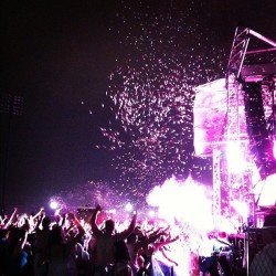 endangeredliving:  Dayglow Dallas twenty