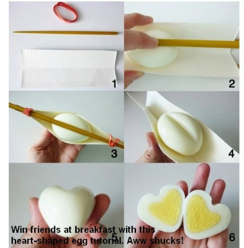 ashprod:  Sorry, I just have to reblog this because I want to remember these things. I want us ALL to remember these things. I expect to see heart-shaped-eggs next time someone has me over for breakfast. 
