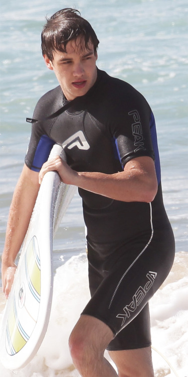 Liam Payne (One Direction) adult photos